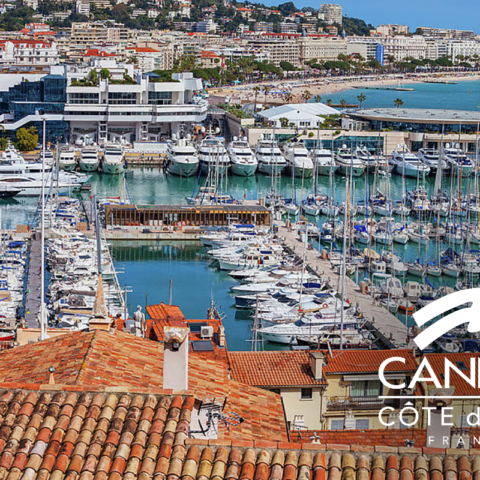 Vieux Port de Cannes, 797 places