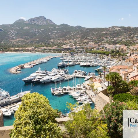 Port de Calvi Xavier Colonna, 340 places