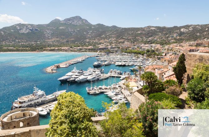 Port de Calvi Xavier Colonna, 340 places