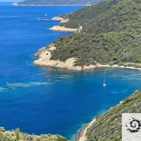 ZMEL du Parc National de Port-Cros, 68 bouées