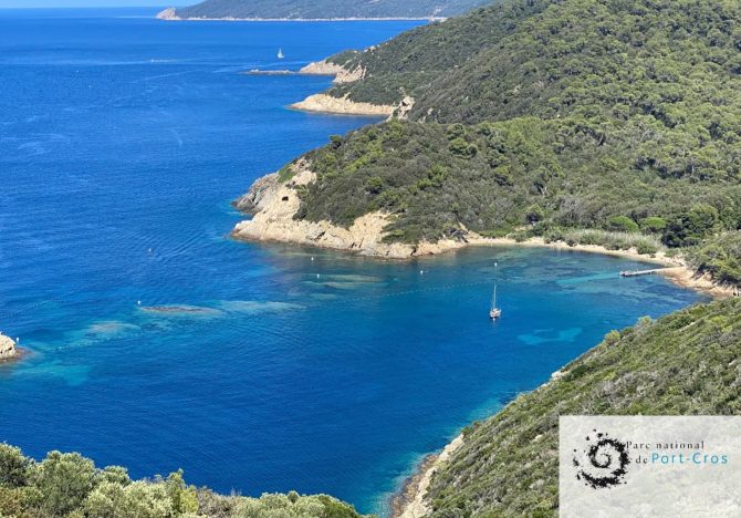 ZMEL du Parc National de Port-Cros, 68 bouées