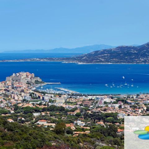 ZMEL de la baie de Calvi, 65 bouées