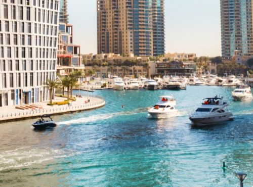 Marina Vision is the best way to ensure the marina and make the harbor a safe place